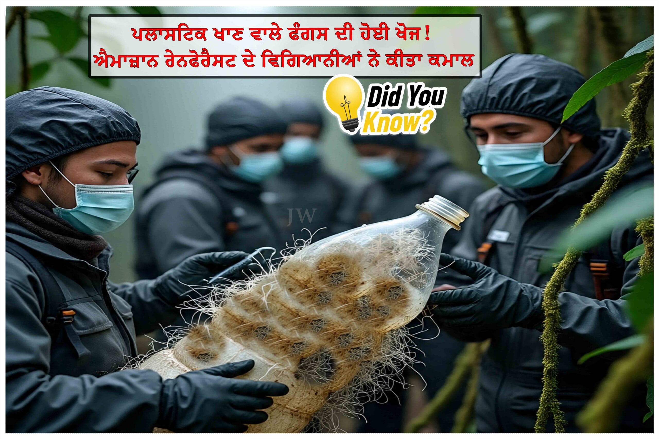 Scientists have done a miracle! Plastic-eating fungus discovered!